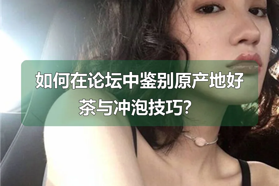 如何在论坛中鉴别原产地好茶与冲泡技巧？